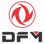 DFM -